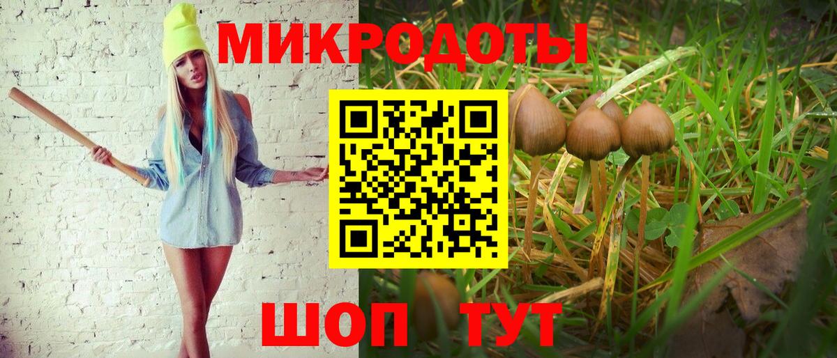 Гагарин  Псилоцибиновые грибы MAGIC MUSHROOMS  даркнет сайт  Вход с VPN 
